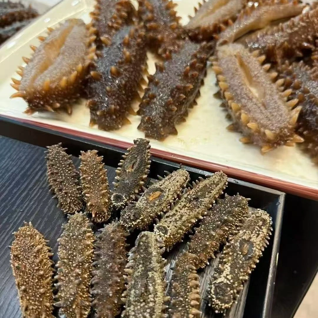 【爱美记】海参刺参  煲汤滋补鱼胶花胶