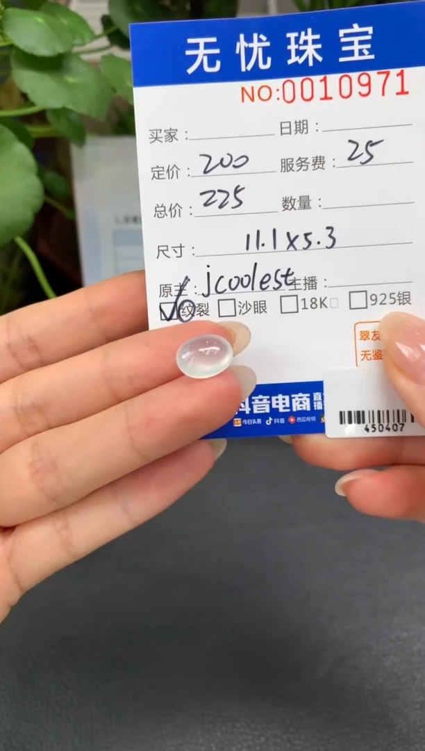 未镶嵌定制翡翠鹅*鹅Z572
