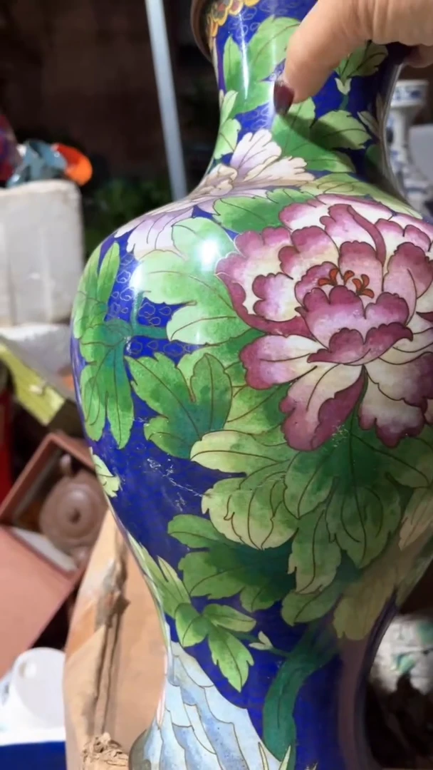 雅*5656565656655665