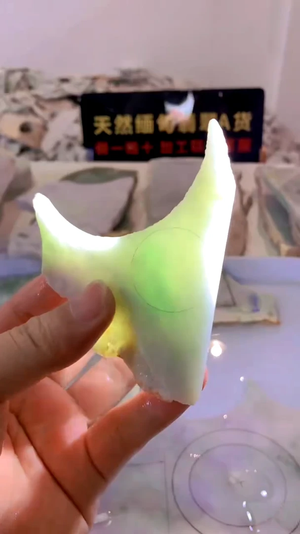 翡翠未镶嵌颈饰缅甸A货翡翠196