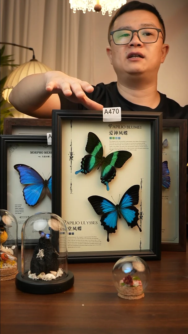 爱神凤蝶天堂凤蝶组合款(A4欧式黑框)A470