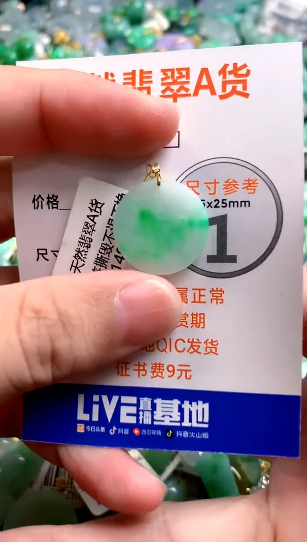颈饰未镶嵌翡翠0667717839