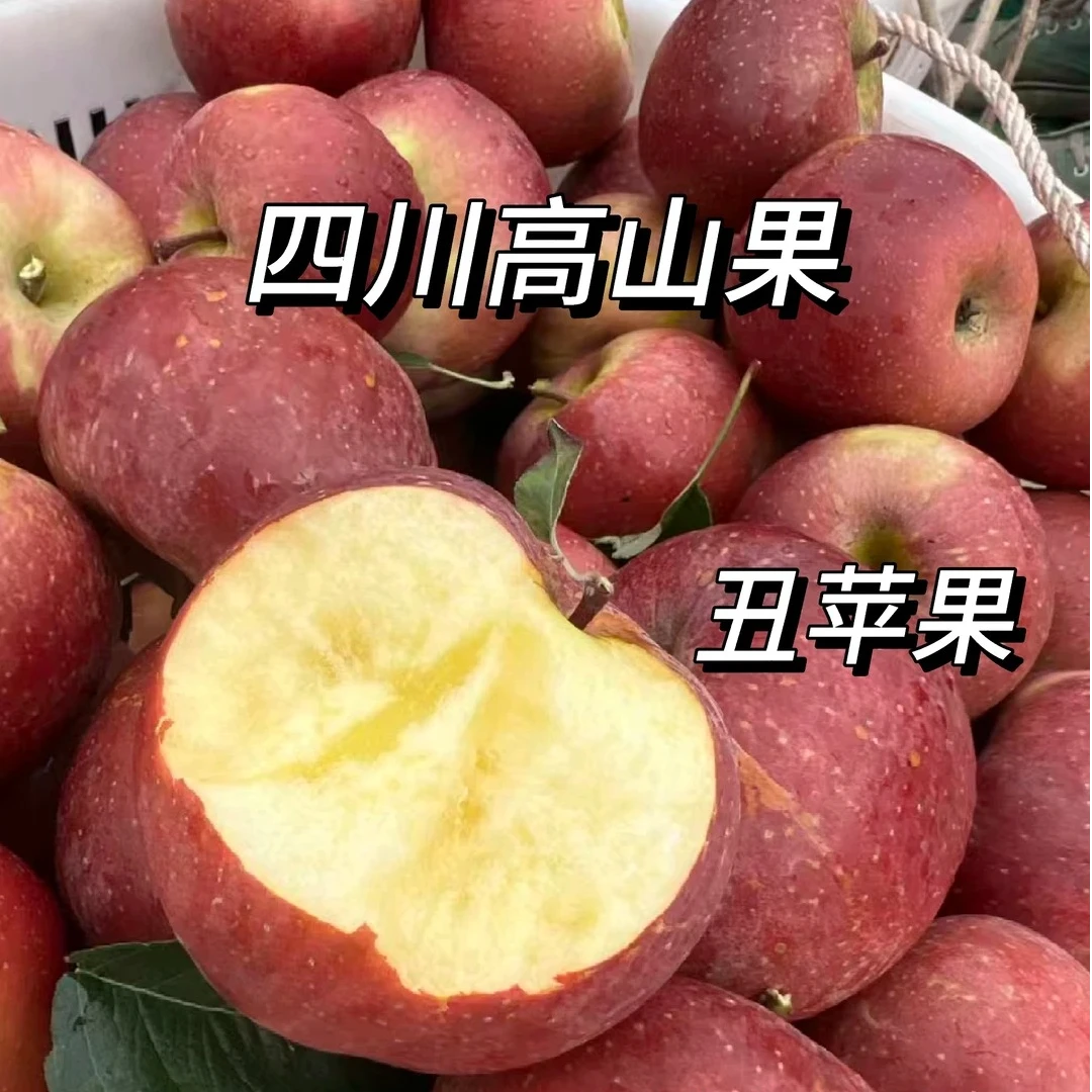 【市场直发】凉山丑姑娘苹果一斤四川省
