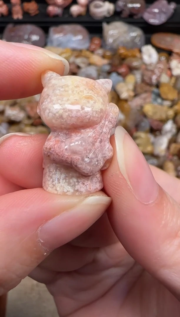 颈饰未镶嵌硅化珊瑚（珊瑚玉）661