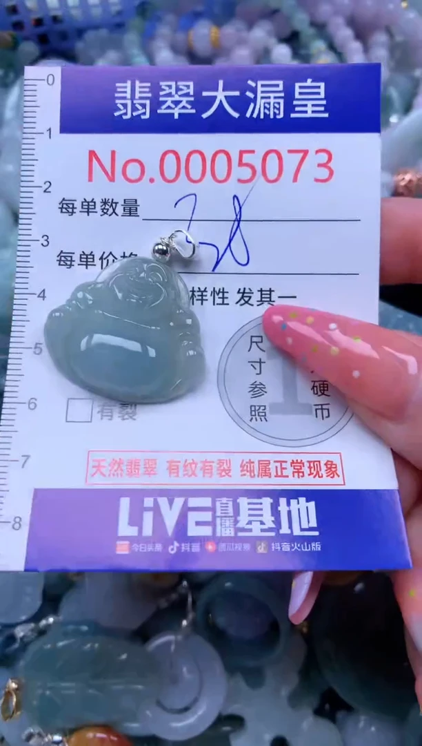 翡翠未镶嵌吊坠(不含链)5073