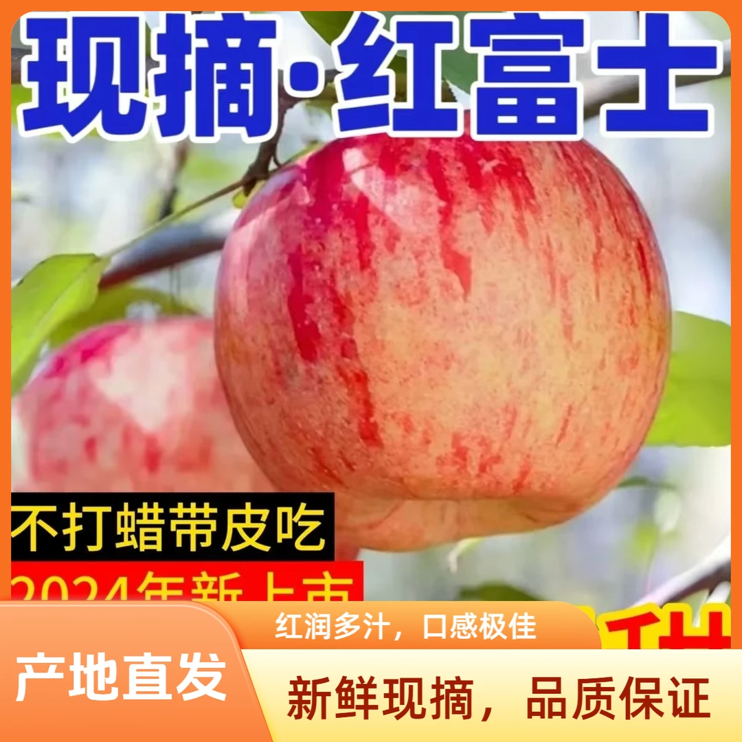 正宗红富士苹果脆甜多汁新鲜水果丑苹果产地直发整箱包邮
