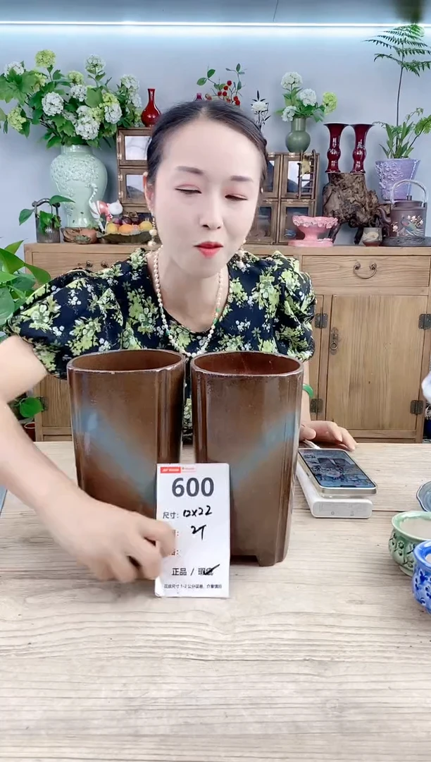 小玩子花盆直播号600