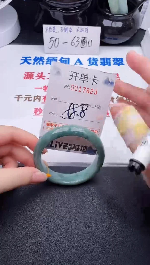 未镶嵌手镯翡翠23