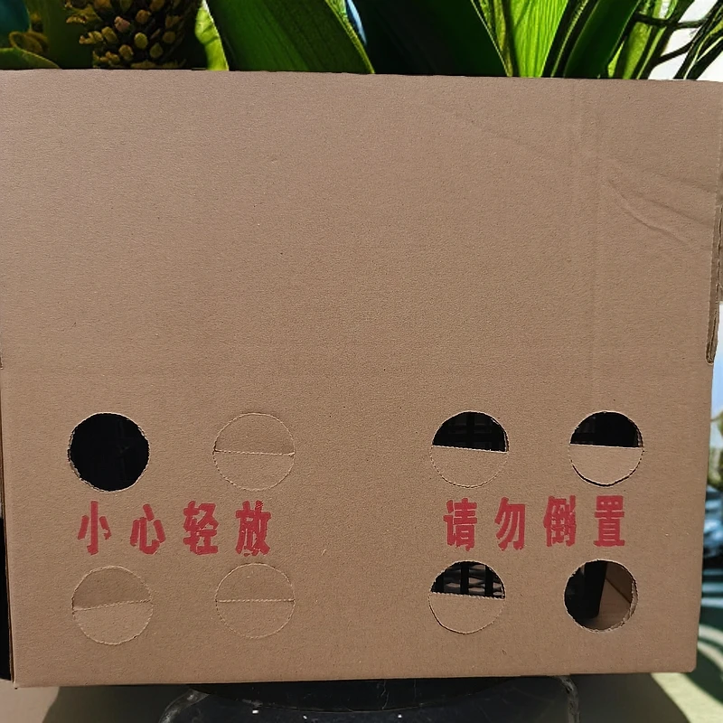 专业运输兔笼高端定制兔子运输笼100多200多300多的都宠物兔有