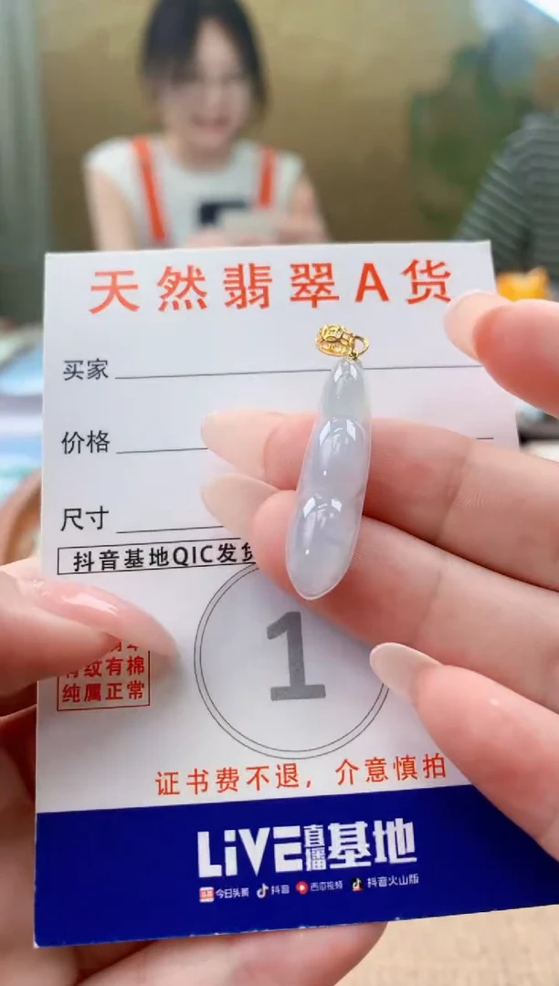 颈饰未镶嵌翡翠天然A货翡翠挂件