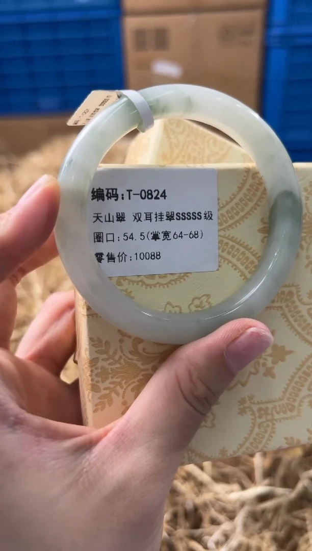 未镶嵌手镯石英质玉T-0824
