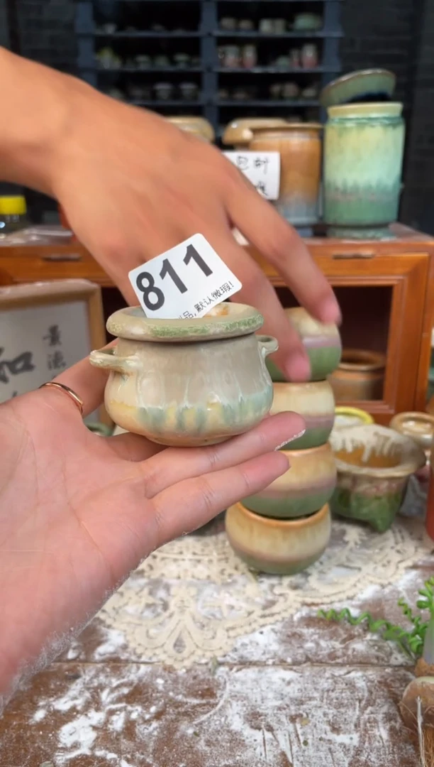 瓷片811知木小芳花盆编号