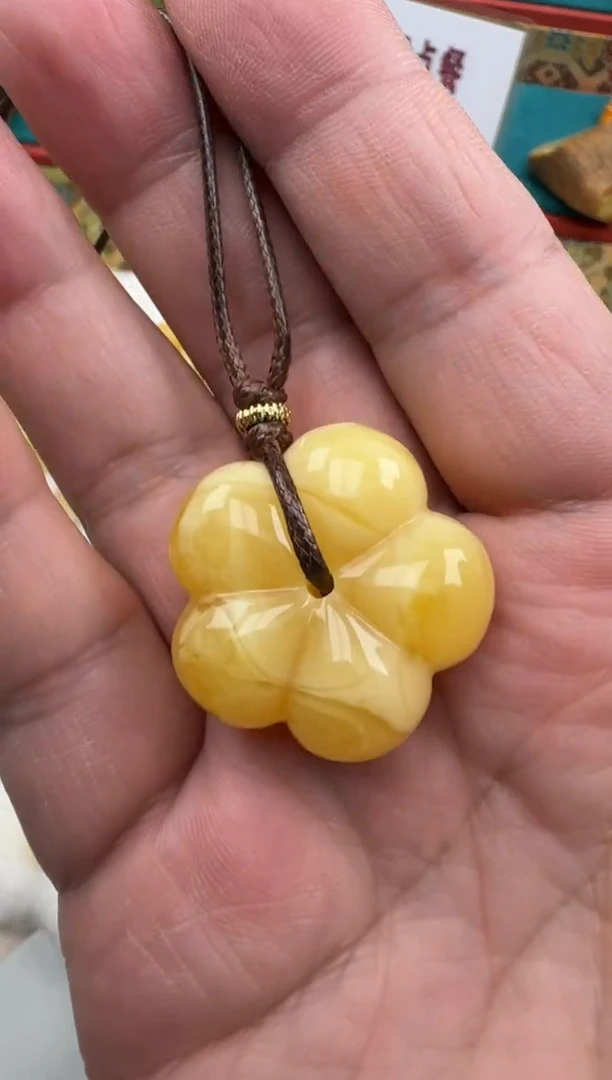 琥珀未镶嵌珠宝奇石吊坠HZ167