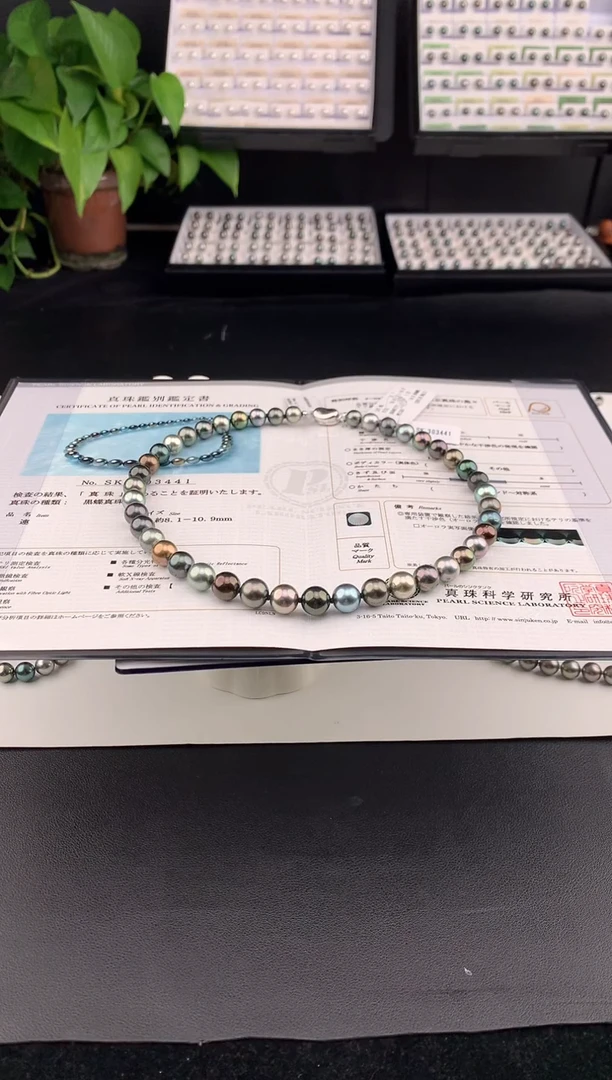 银S925镶嵌颈饰海水珍珠大溪地海水珍珠项链8-11mm 真科研证书