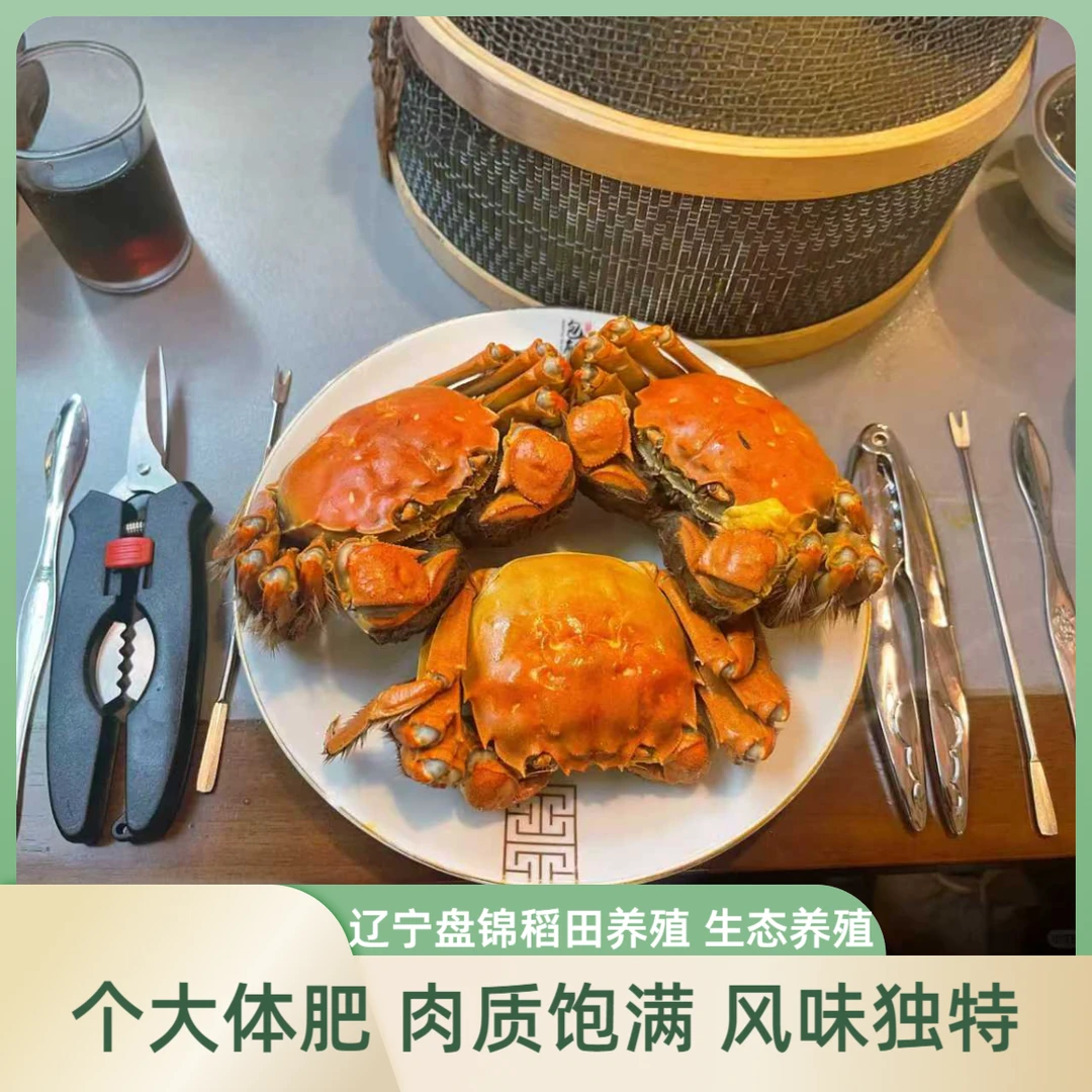 【活蟹】盘锦河蟹（1.1-0.8两） 母蟹 到手30只  稻田蟹鲜活到家