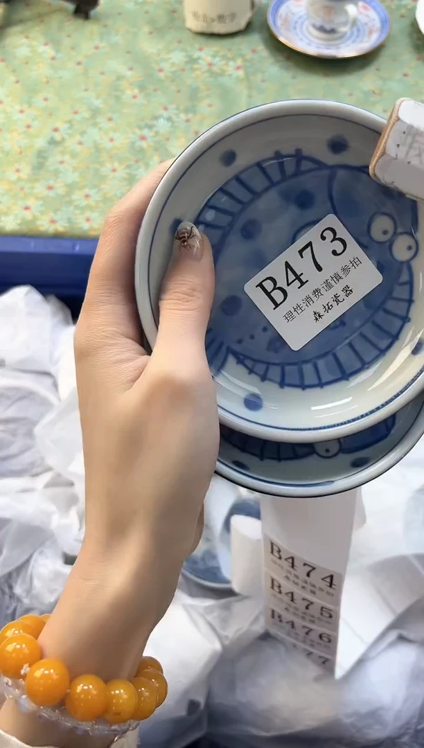 【闪购商品】瓷片          B473