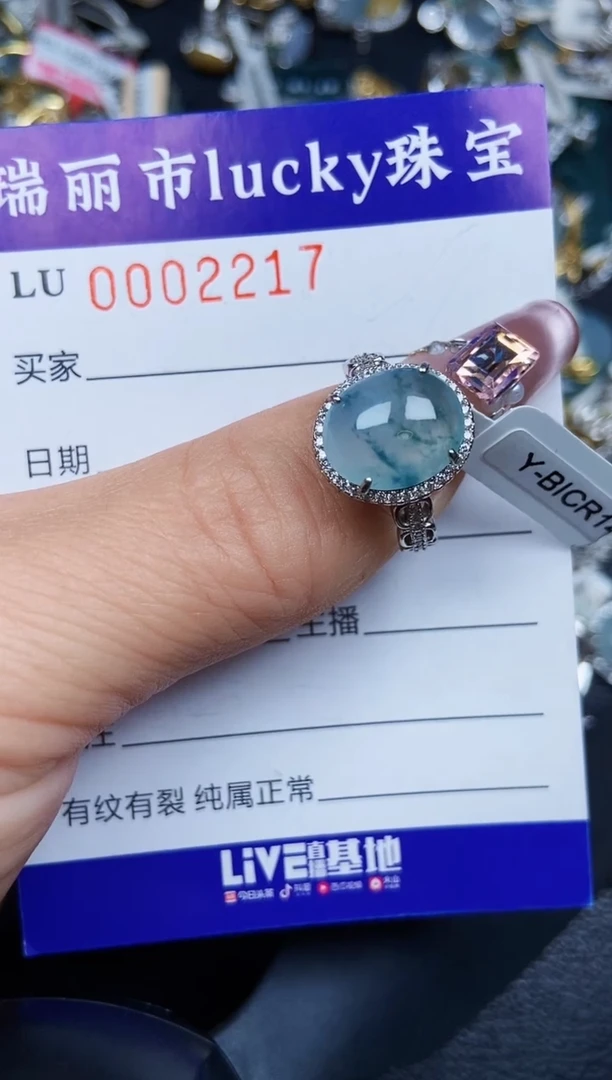 翡翠银S925镶嵌颈饰2217