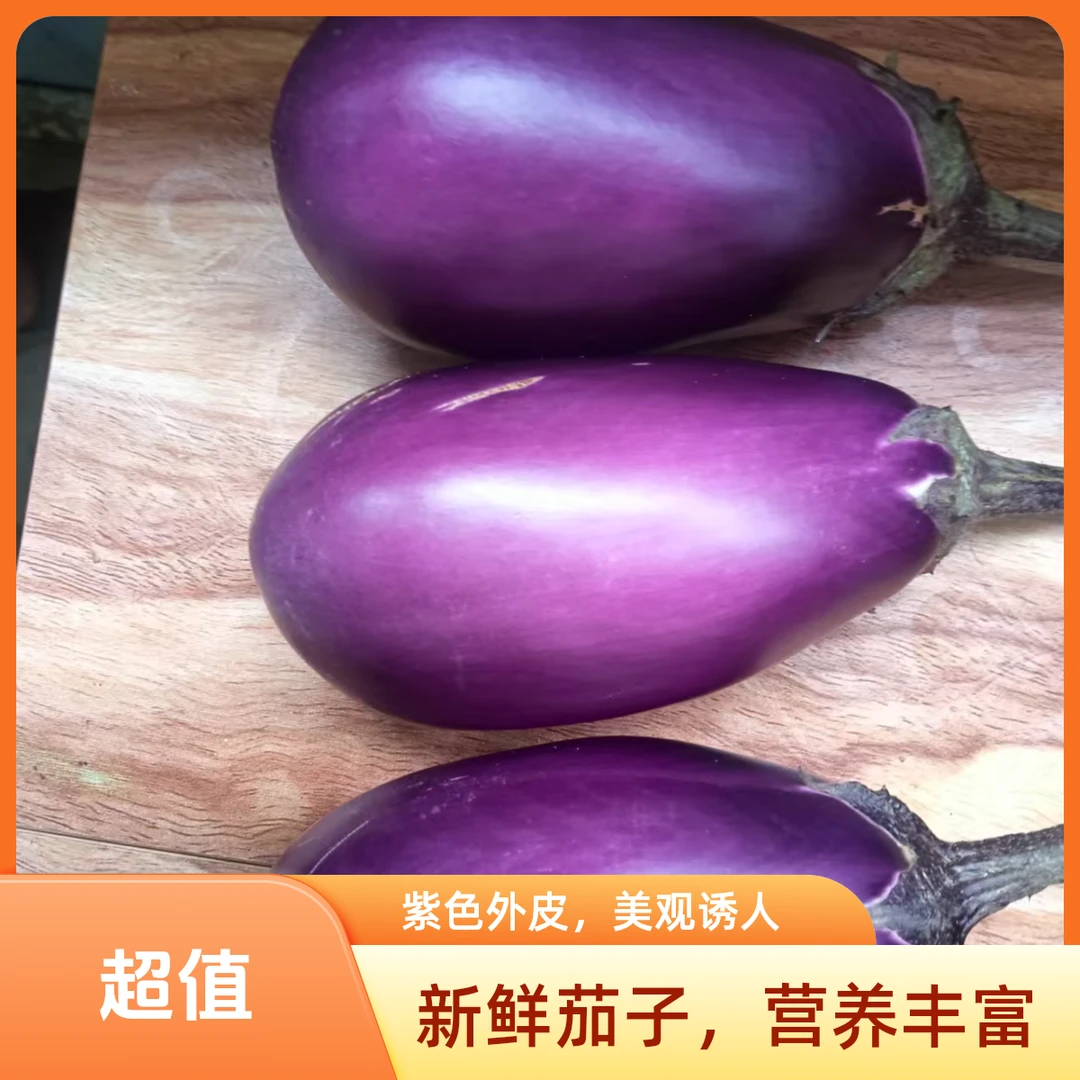 【五斤】净重云南长茄子灯笼茄子紫皮现采产地直供宵夜烧烤新鲜