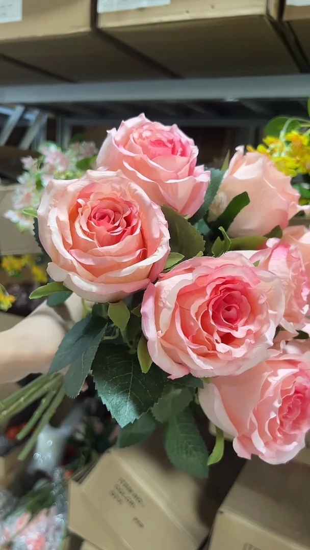 10枝粉色洛神（微瑕不售后）