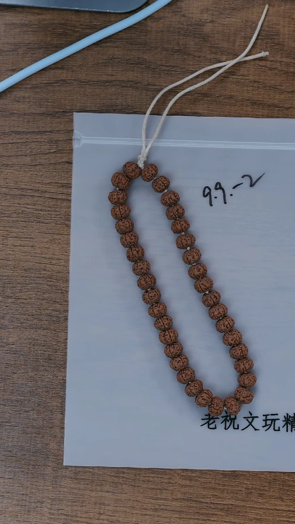 手串金刚菩提树王单圈 9.9-2