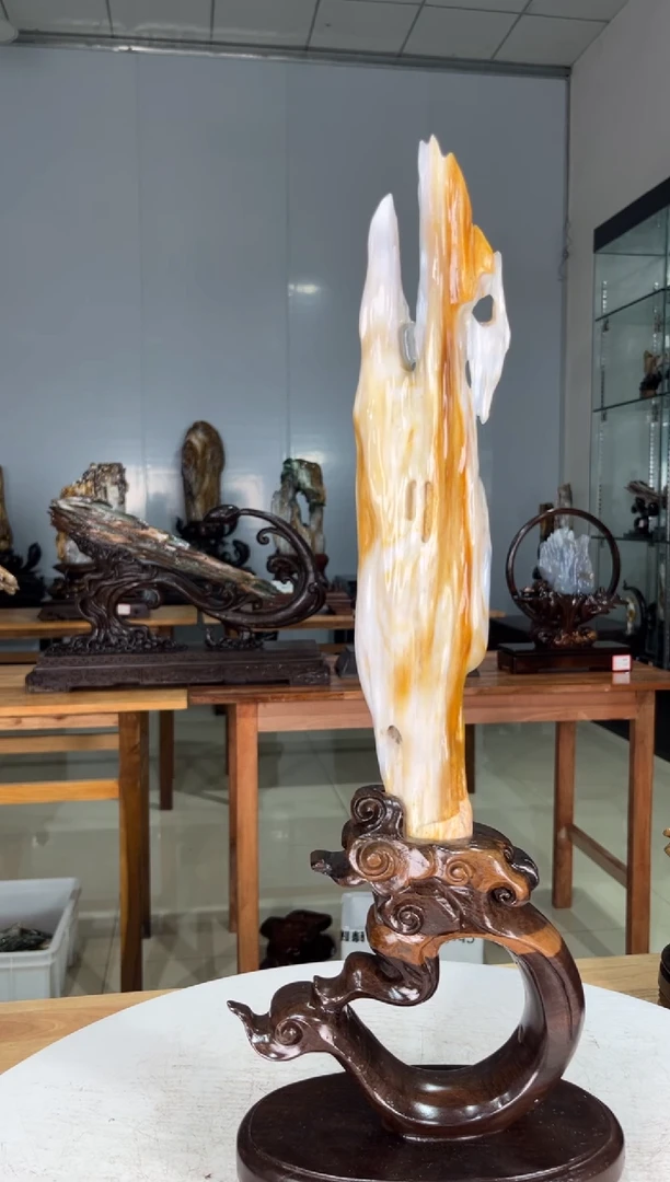 硅化玉珠宝奇石未镶嵌1