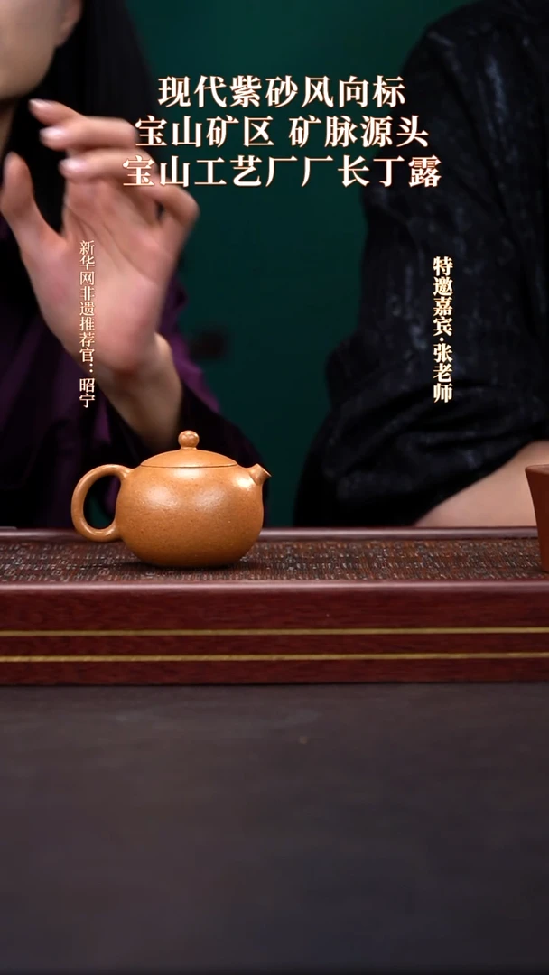 茶壶紫砂12送主人杯套组
