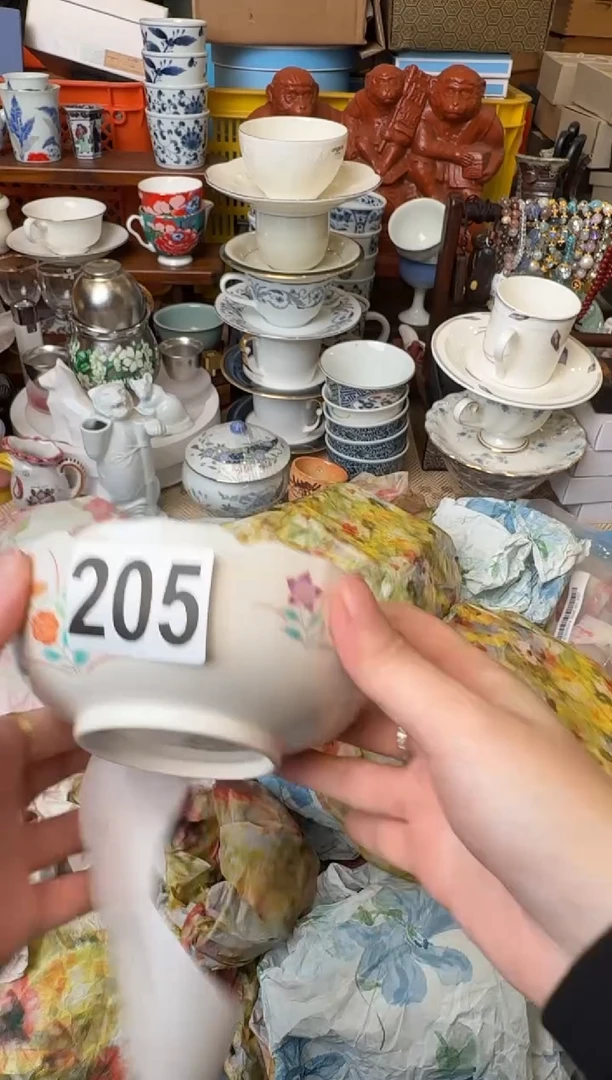 瓷片兰* 定向 兰竹 定向 兰竹 定向 兰竹