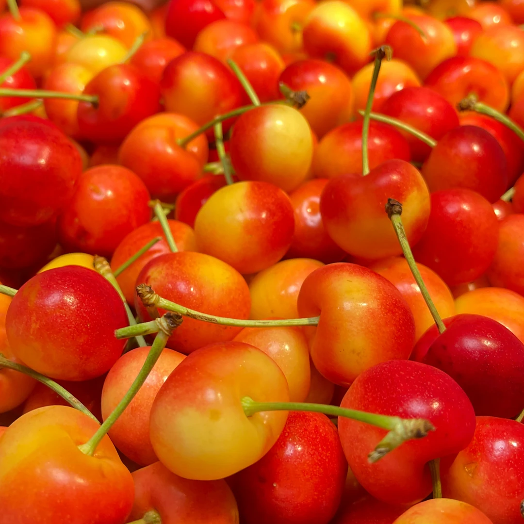 【果真棒生鲜】智利 空运车厘子雷尼尔 4J  甜脆 2-4.4斤内附果径卡