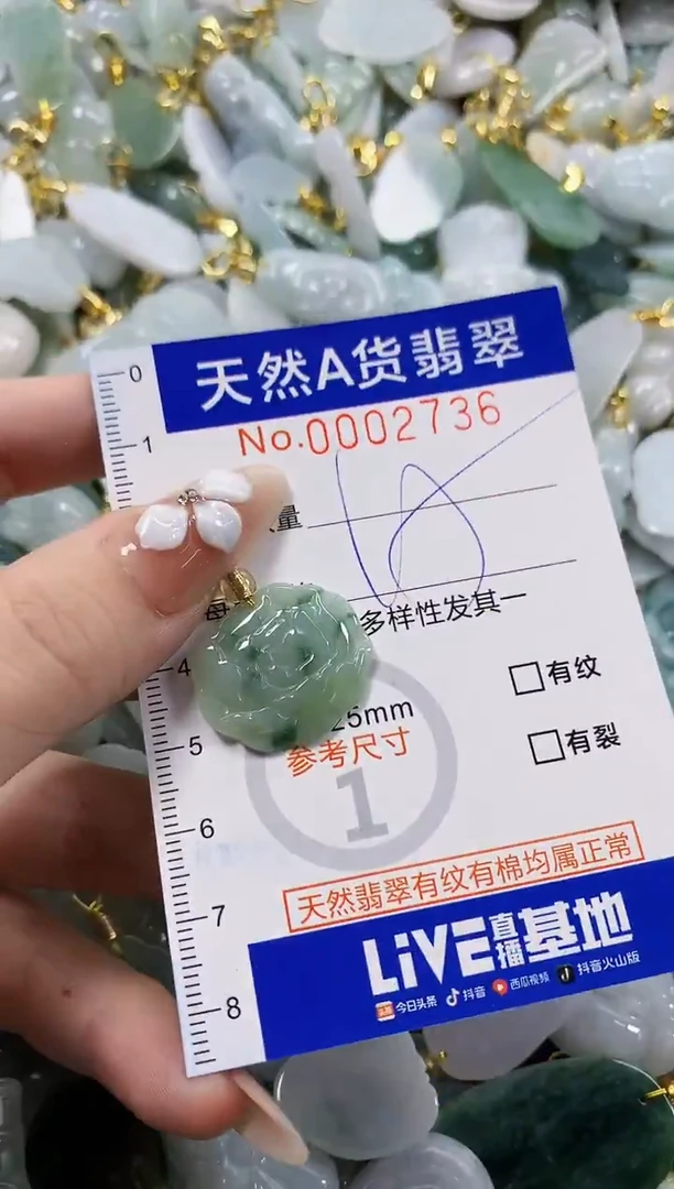 颈饰未镶嵌翡翠天然A货翡翠