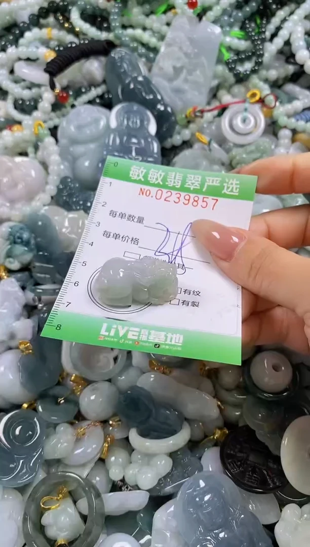 翡翠未镶嵌颈饰闪购0239857