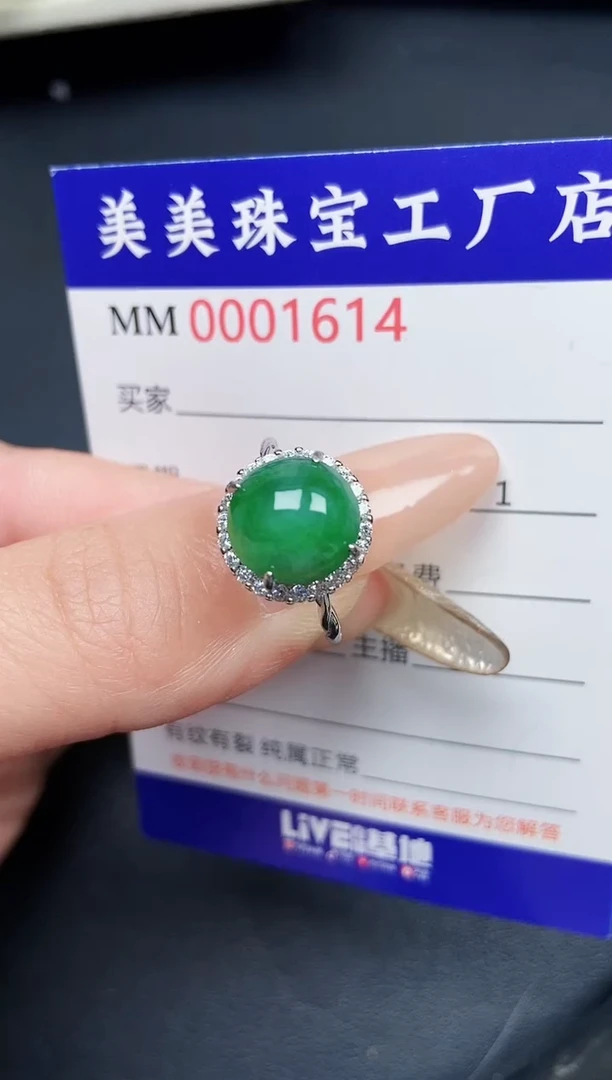 【闪购商品】翡翠颈饰银S925镶嵌1614