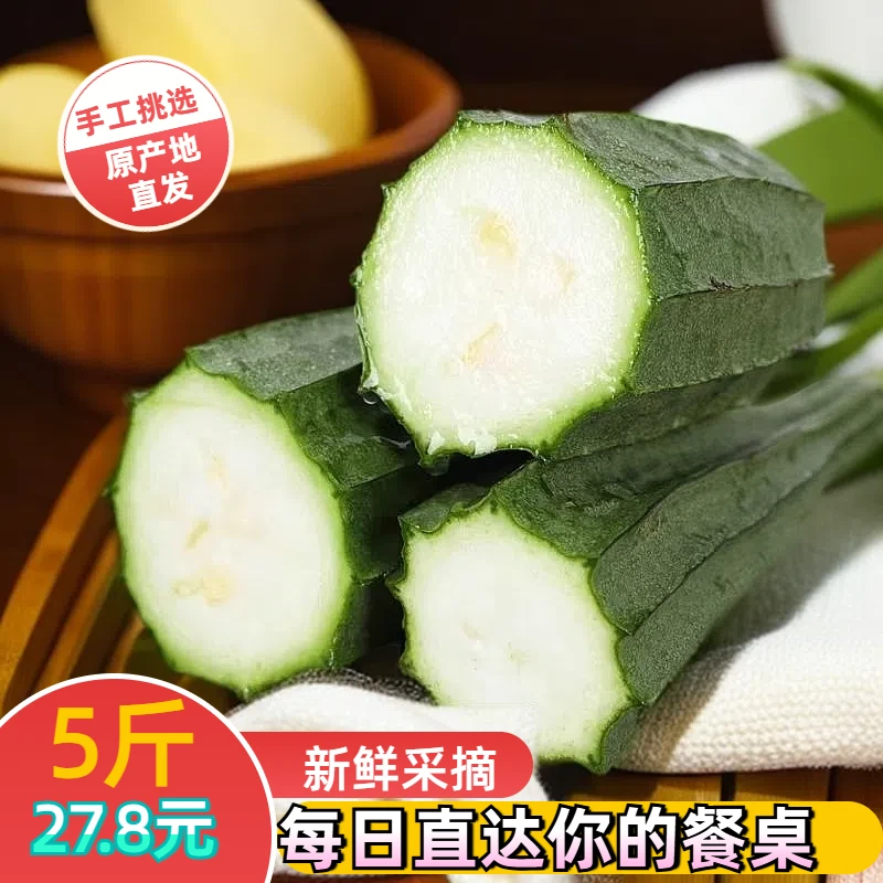 广西新鲜丝瓜棱角丝瓜八角瓜现摘清甜大肉丝瓜当季农家蔬菜1/3/5