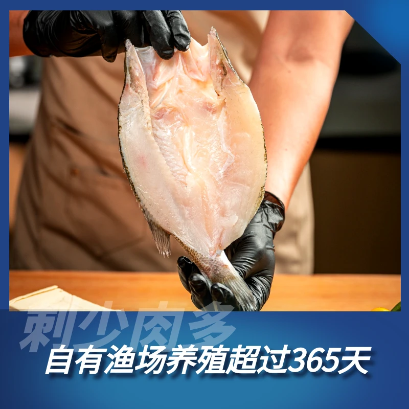 高温空运轻微融化 介意慎拍 清仓4条/单【三去淡水鲈鱼】