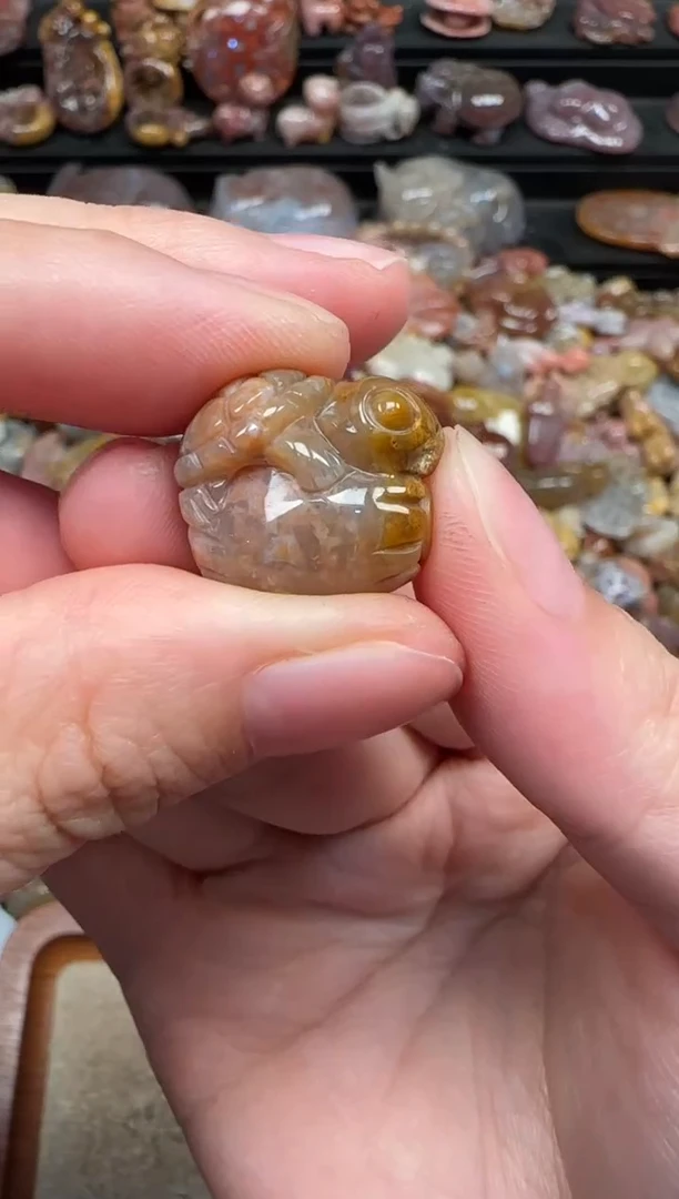 颈饰未镶嵌硅化珊瑚（珊瑚玉）733