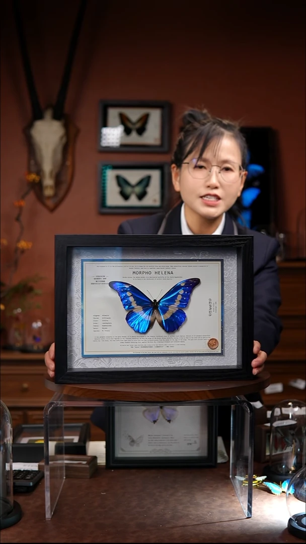 N83       光明女神