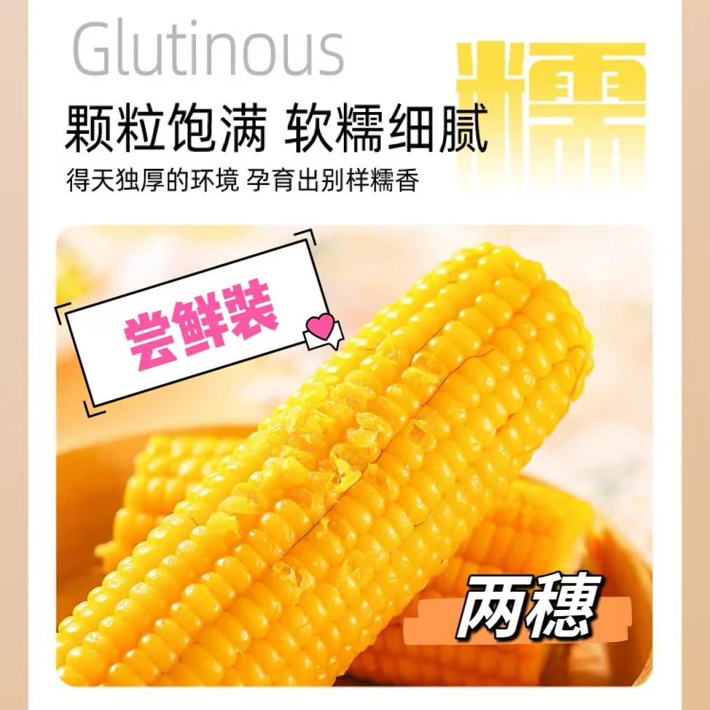 【新鲜头茬】低脂黄糯玉米轻食代餐2穗软糯香甜-万年黑土玉米之都