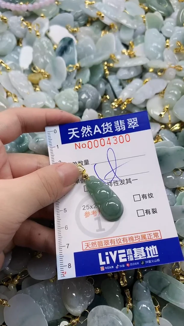 颈饰未镶嵌翡翠天然A货翡翠