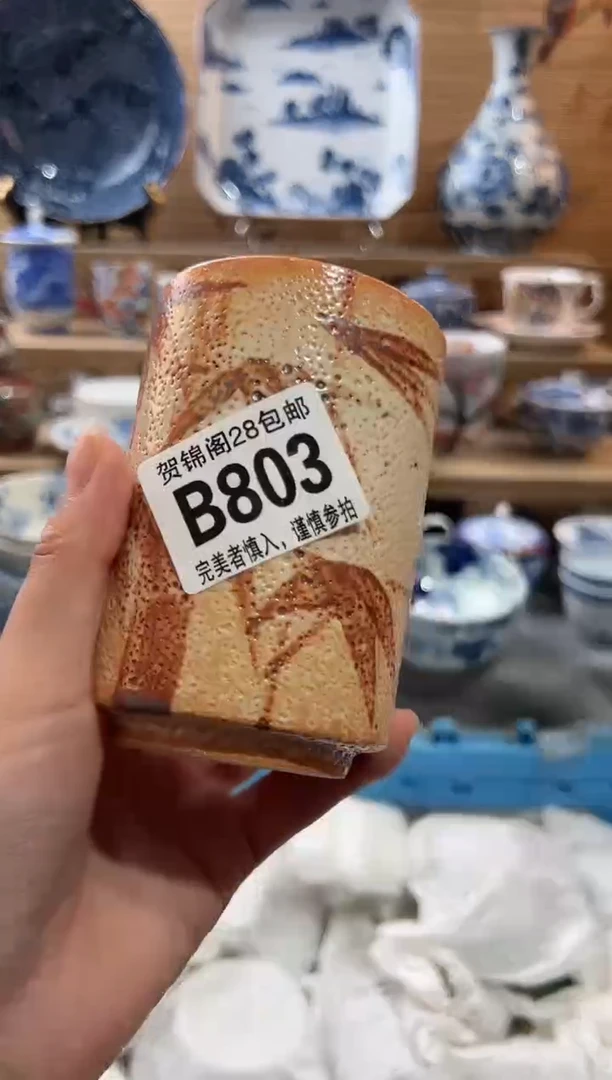 【闪购商品】瓷片当天满28米包邮B803