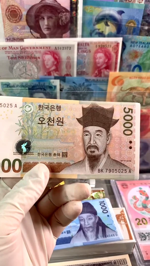 纸币韩国5000 2006年版纸币