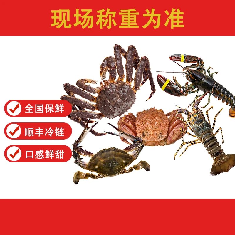 【冰鲜海鲜1号 】海鲜直播称重为准1-10斤起脱水5%算正常介意勿拍