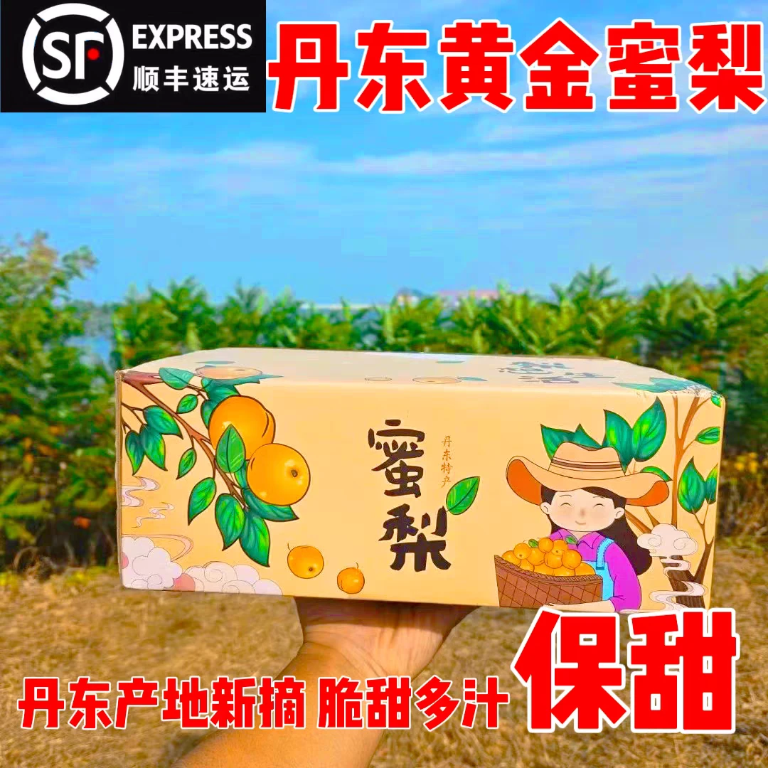 丹东特产黄金蜜梨冰糖丑梨新鲜梨纯甜无渣礼盒装顺丰包邮产地直发