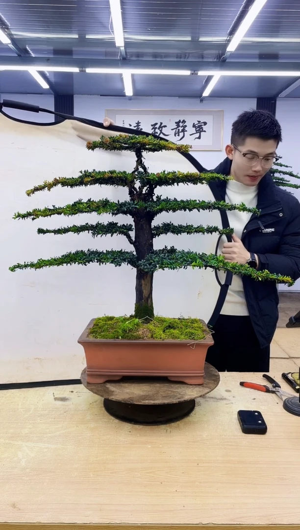 无花朵辉*0000000000000000000