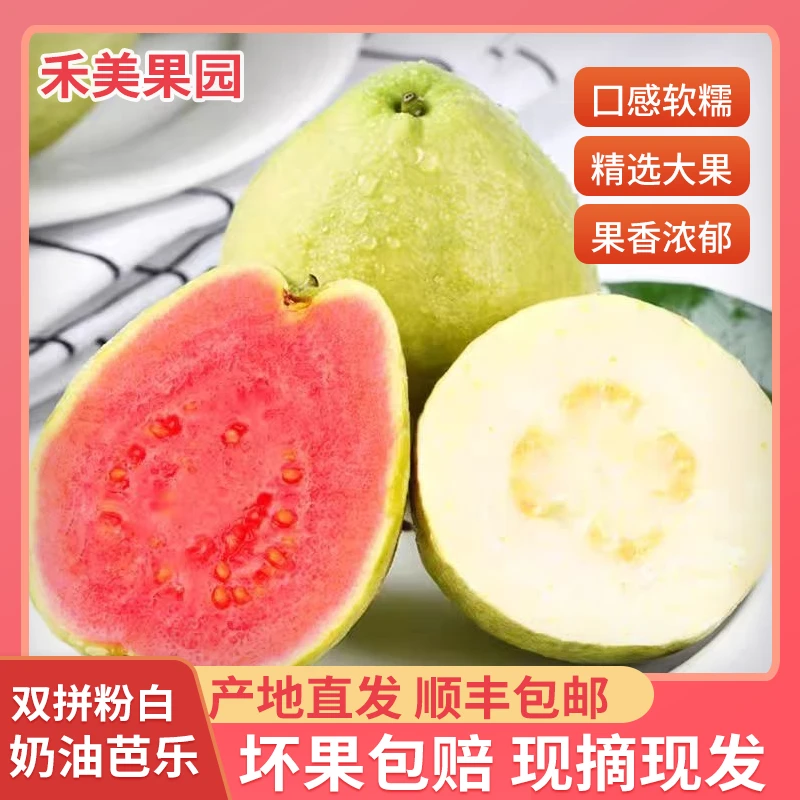 放软再吃/广西福建奶油红心芭乐白心番石榴软糯香甜当季新鲜采摘