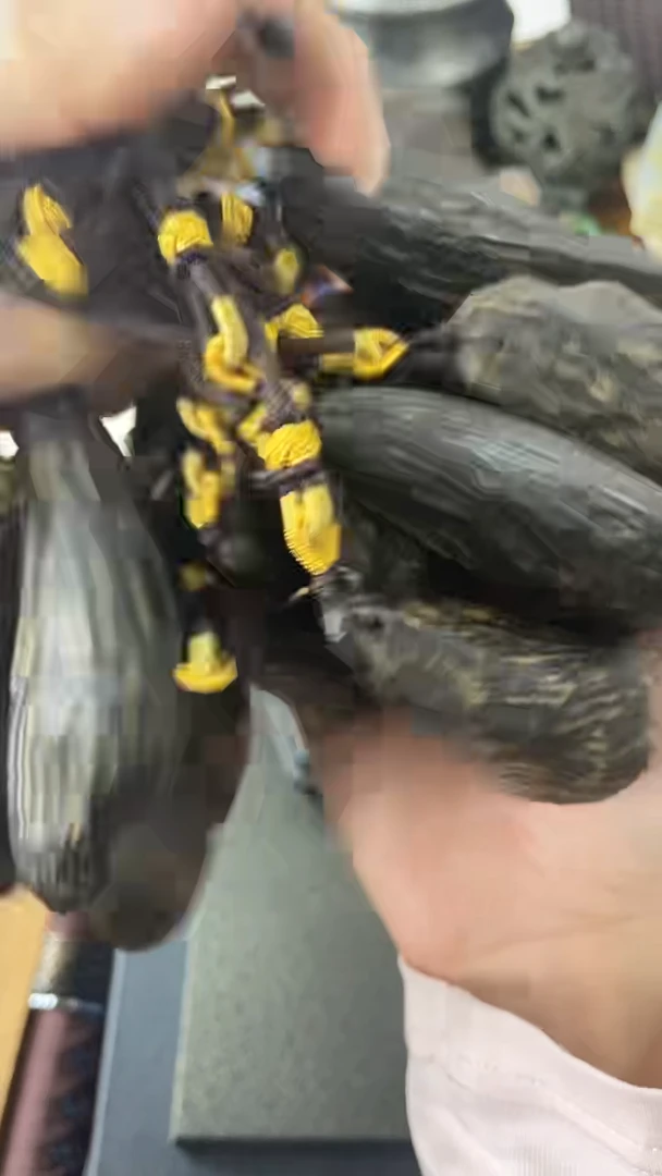 瓷片CX慧然珍宝阁2号铺