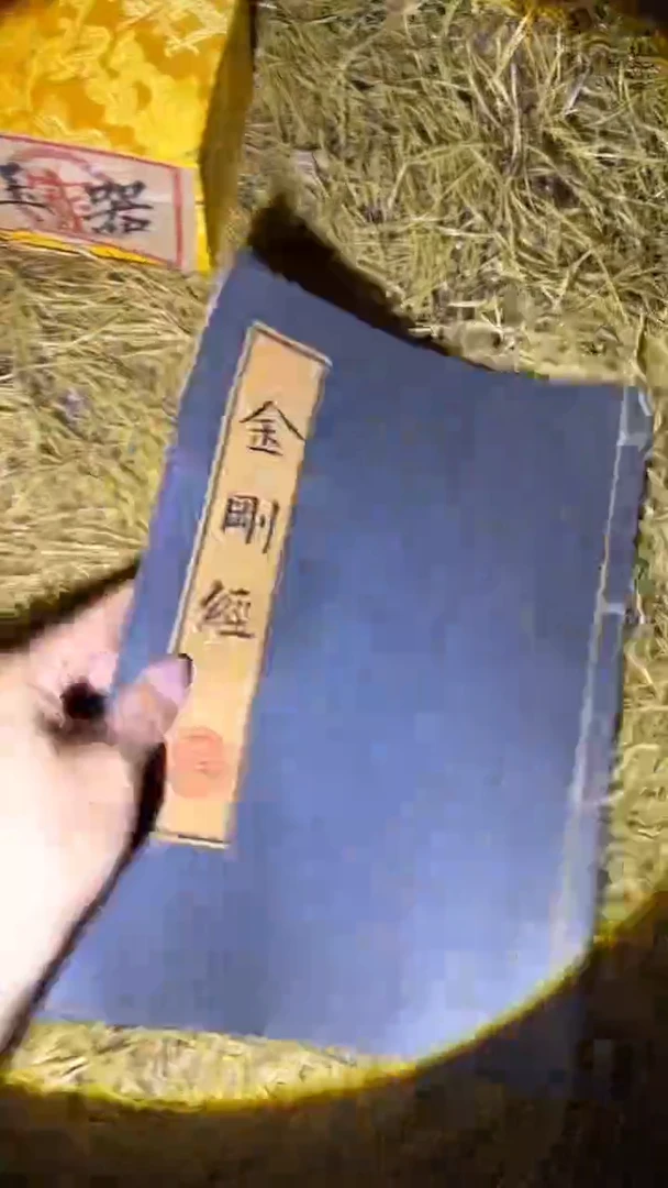 琪琪专属精品链接