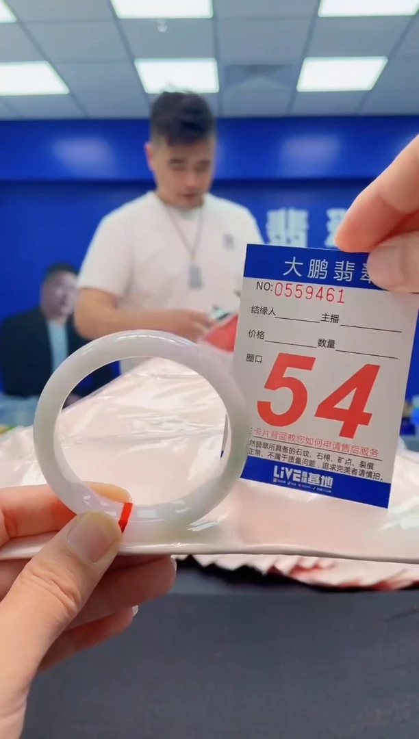 未镶嵌手镯翡翠AAAAAAAAA