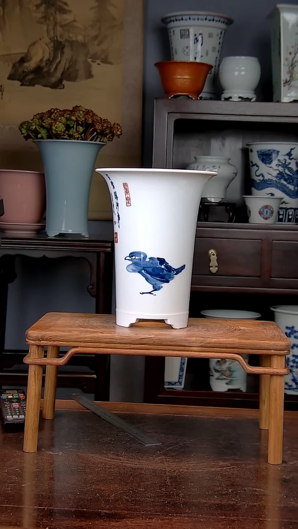 【闪购商品】红陶1