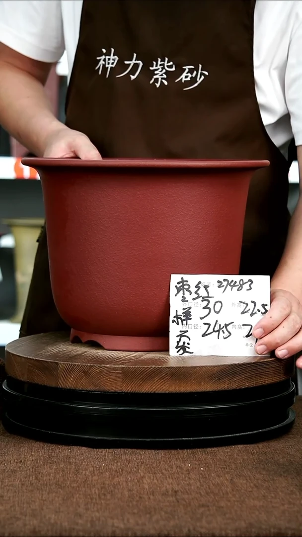 紫砂花盆花卉园艺27483