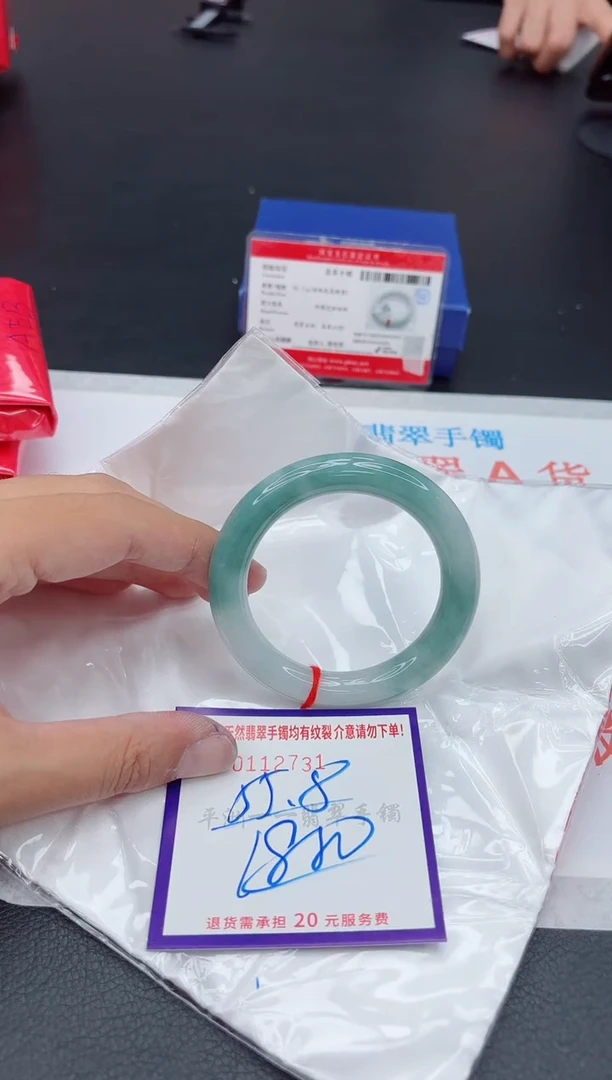 未镶嵌手镯翡翠1111111