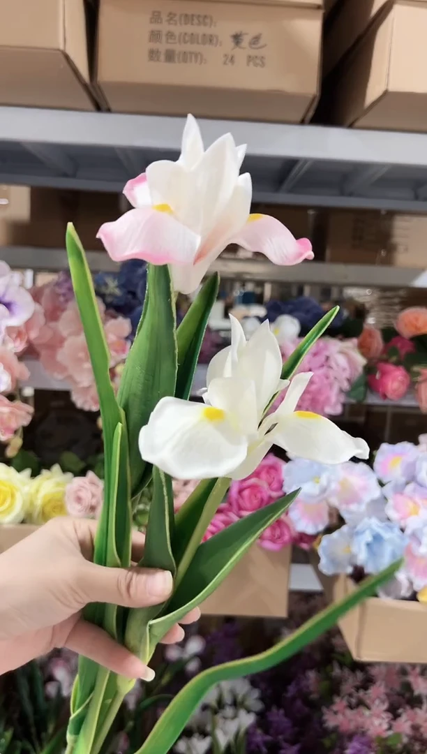 1枝粉色1枝白色鸢尾花花
